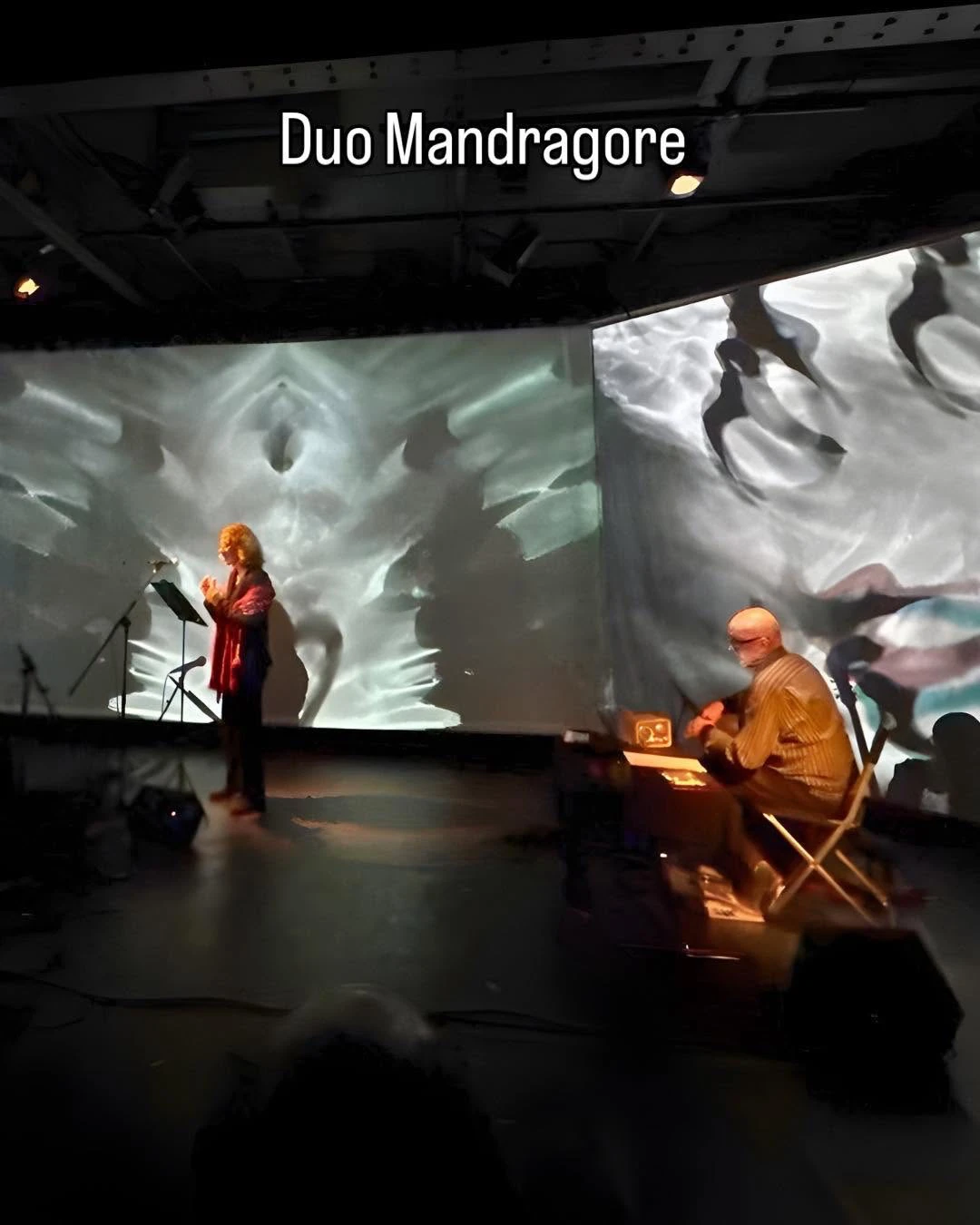 Duo Mandragore en concert